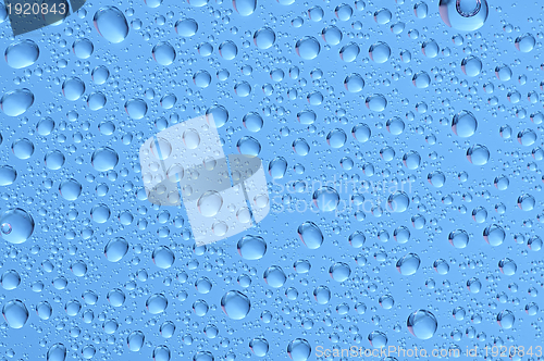 Image of water drops