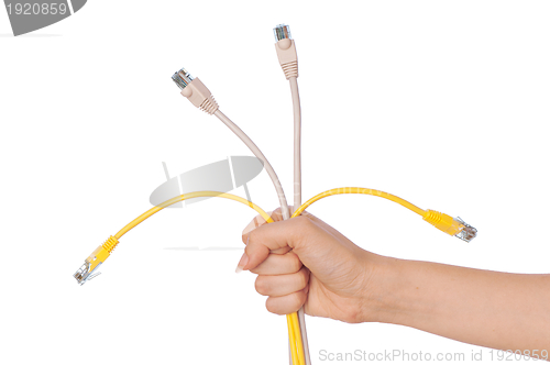 Image of LAN cords