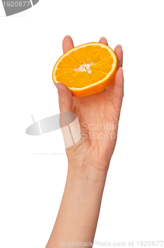 Image of Orange