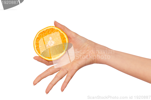 Image of Orange