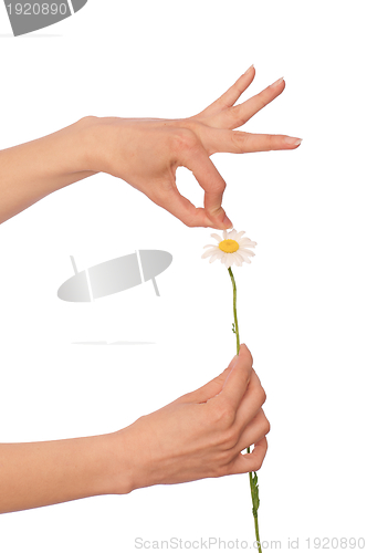 Image of love divination