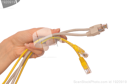 Image of LAN cords