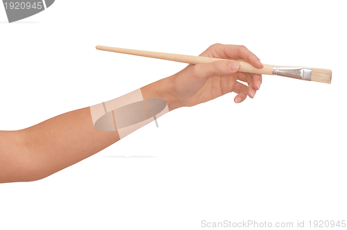 Image of brush in the hand