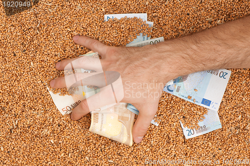 Image of Monetary crop