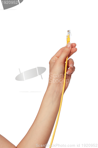 Image of yellow LAN cord