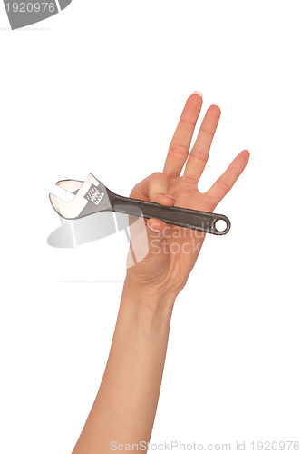 Image of small adjustable spanner