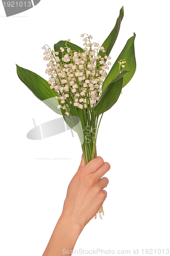 Image of lily of the valley