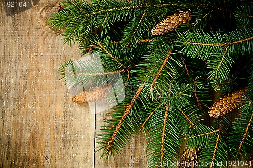 Image of christmas fir tree with pinecones