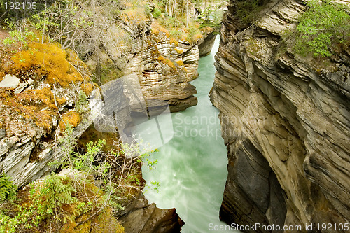 Image of Athabasca Falls