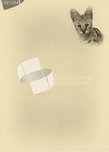 Image of Sepia Toned Serval with Text Page