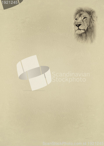 Image of Sepia Toned Lion Face with Text Page