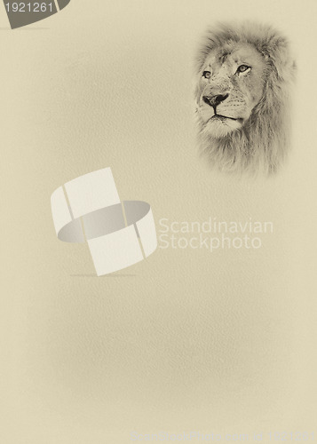 Image of Sepia Toned Large Lion Face with Text Page