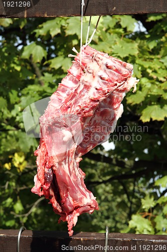 Image of fresh pig meat 