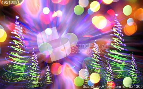 Image of xmas forest