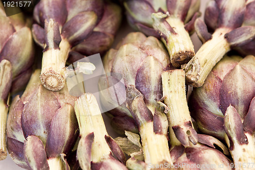 Image of fresh healthy artichoke plant macro