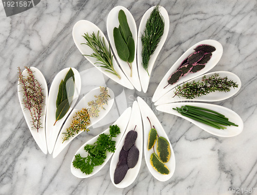 Image of Herbs