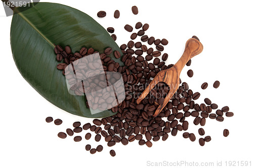 Image of Coffee Beans