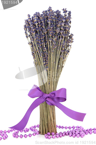 Image of Lavender Herb Flowers