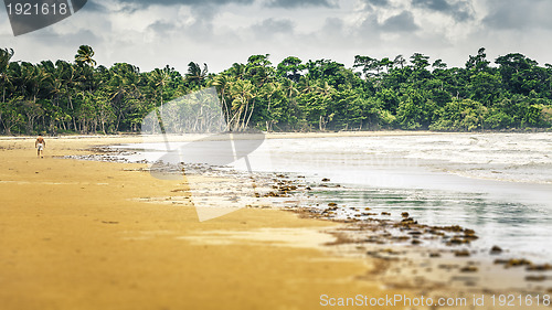 Image of mission beach Australia