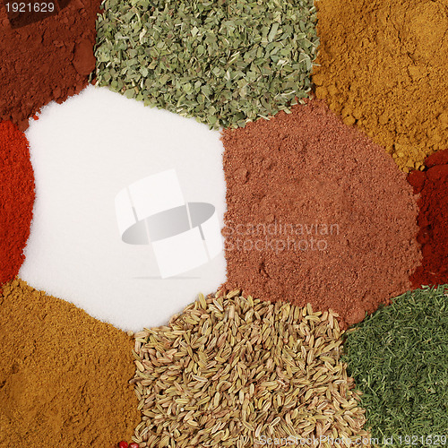 Image of Colorful spices and herbs