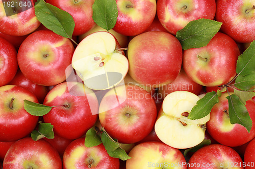 Image of Red apples with leaves