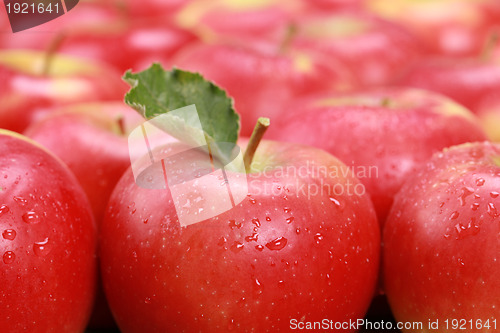 Image of Red apples