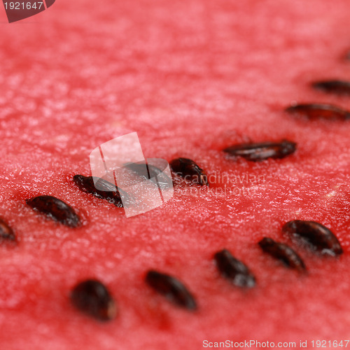 Image of Close-up of a ripe watermelon