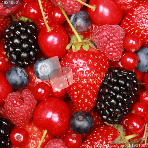 Image of Collection of berries