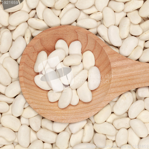 Image of White beans on a wooden spoon