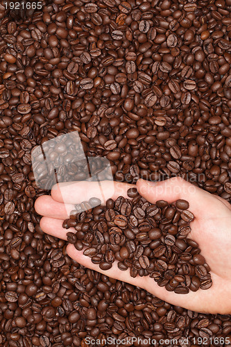 Image of Coffee beans on a human hand