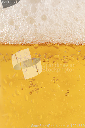 Image of Beer in a glass