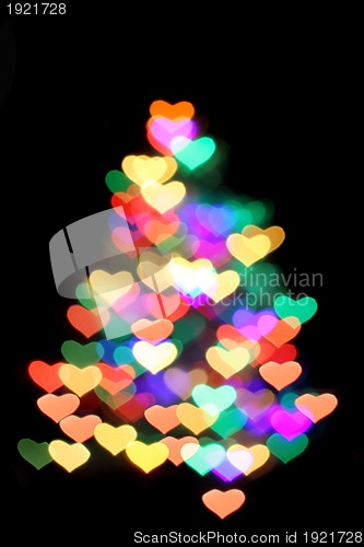 Image of christmas tree from the light