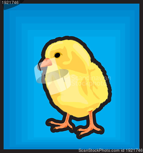 Image of Clip art new born chiken