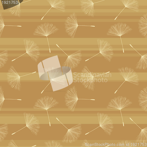 Image of Soft dandelion seed pattern.