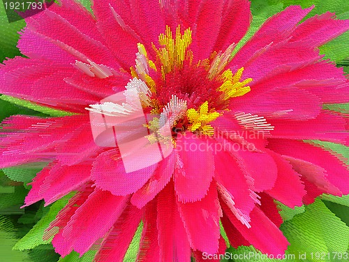 Image of Red background with flower