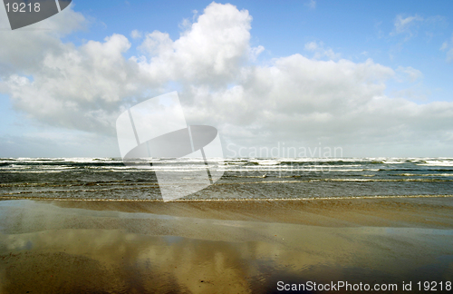 Image of Beach Scene