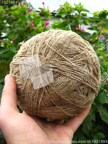 Image of the clew of flax fiber