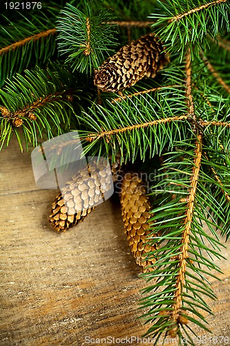 Image of christmas fir tree with pinecones