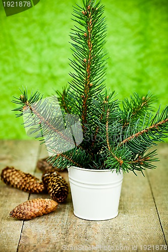 Image of christmas fir tree and pinecones