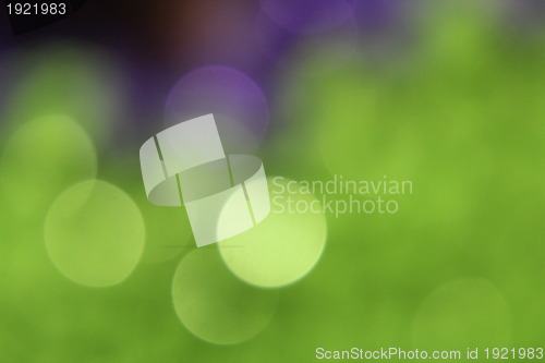 Image of Green Sequin Blur