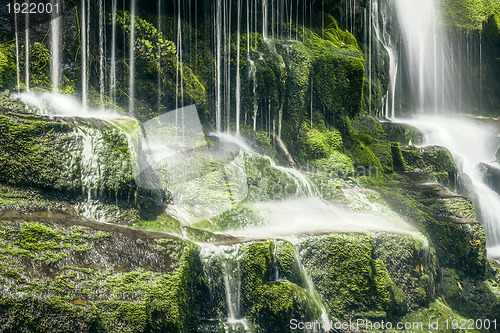 Image of Tasmanian Waterfall