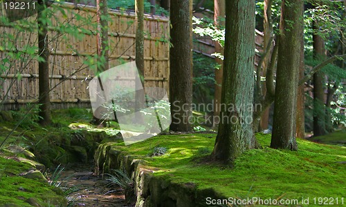 Image of Japanese garden