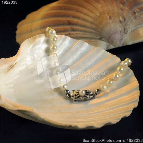 Image of seashell and pearl necklace