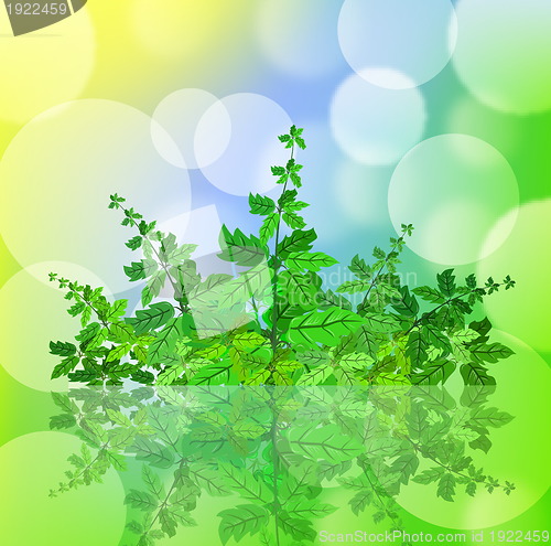 Image of Green spring background with leafage and blurry light