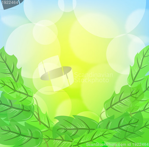 Image of Green spring background with leafage and blurry light