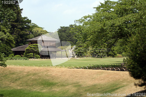 Image of Japanese garden