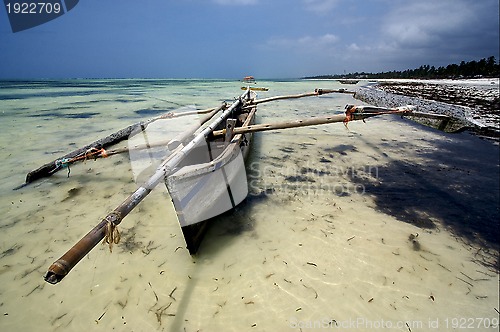 Image of piroga and zanzibar