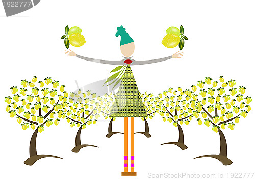 Image of garden of lemons  