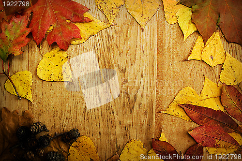 Image of Leaves on a board