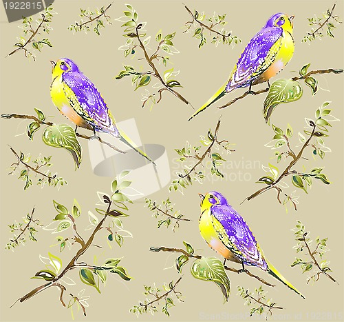Image of Seamless background. Illustration of birds.